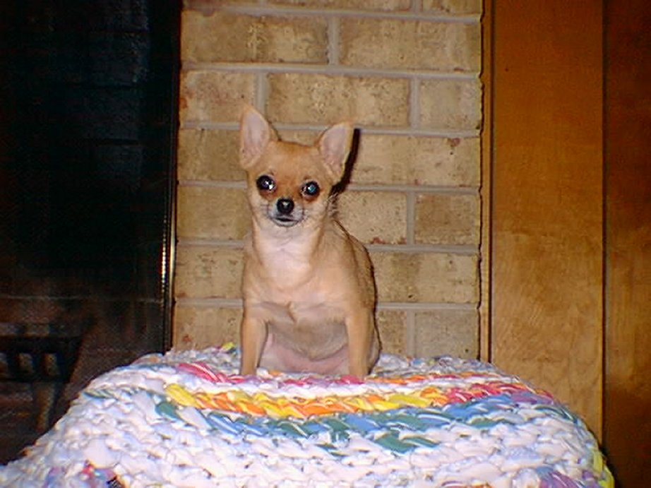 0819_Holly02.jpg (102326 bytes)